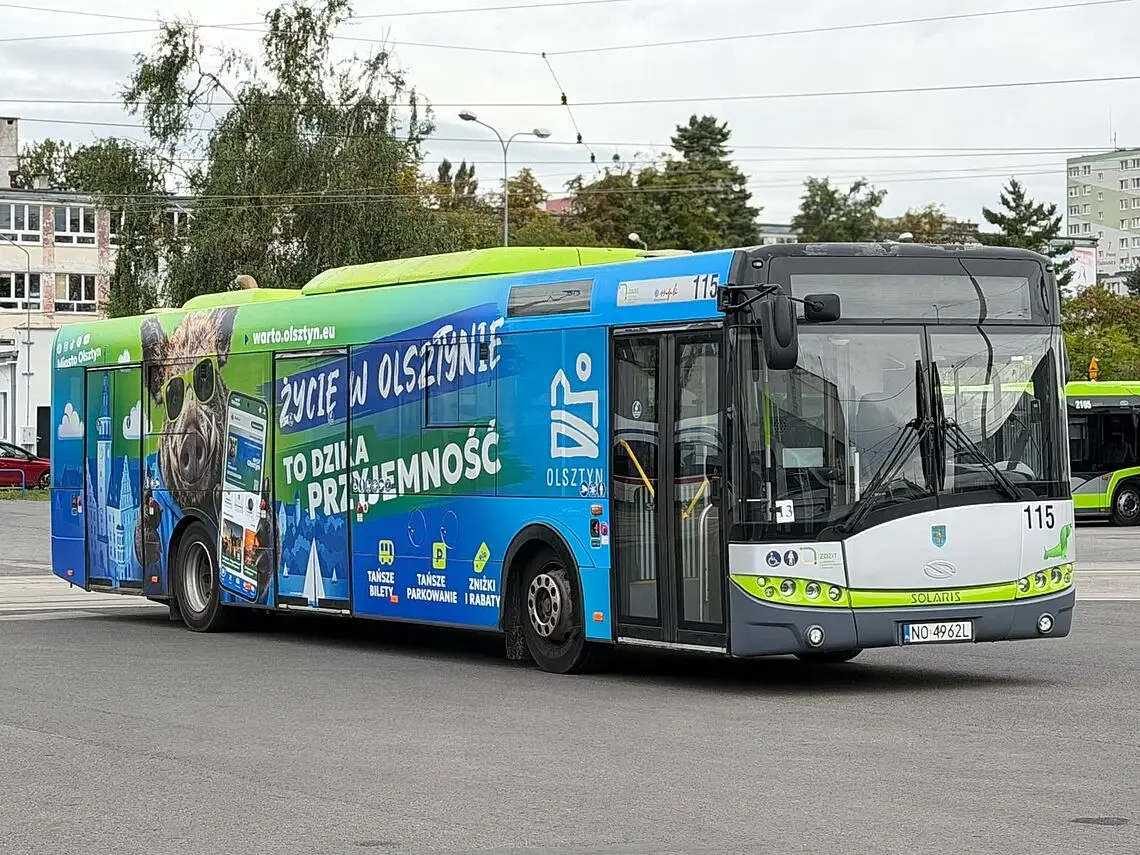 Dzikobus na ulicach Olsztyna