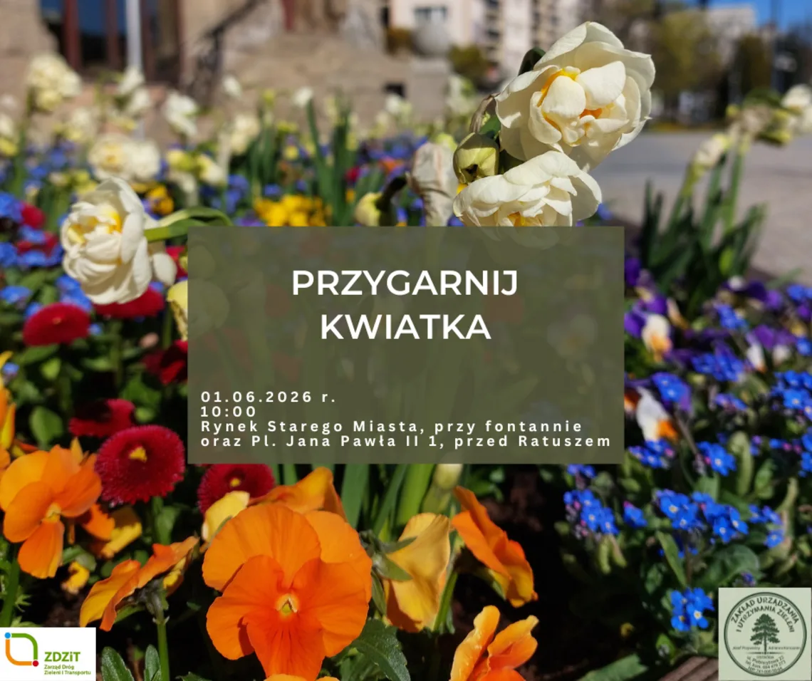 Akcja 'Przygarnij Kwiatka' - mieszkańcy Olsztyna mogą odebrać kwiaty z miejskich donic