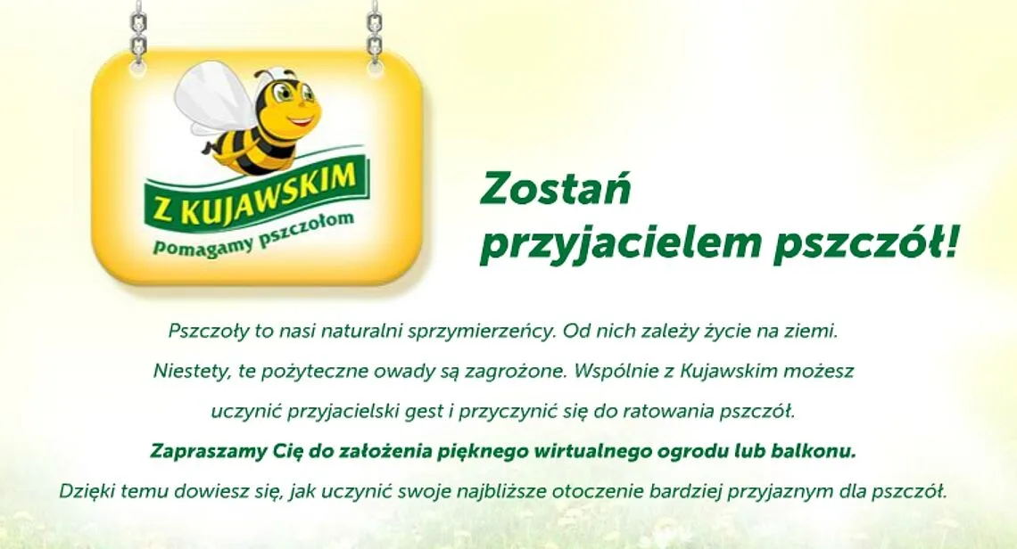 Olsztyn dołącza do akcji na rzecz pszczół