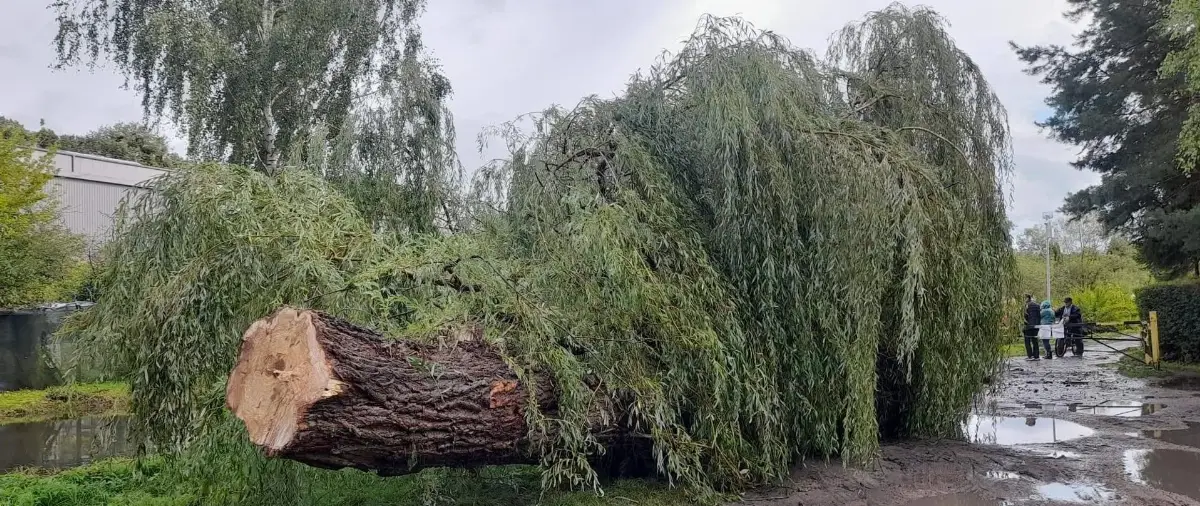 Silne wiatry i intensywne opady deszczu w powiecie olsztyńskim